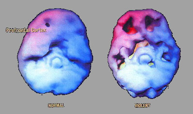 �������������� ���� �� ����������� ������ �����. 